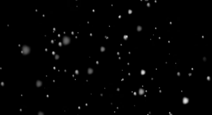 Winter Snowflake Projection